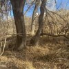 Photo of Mobile Home Lot
