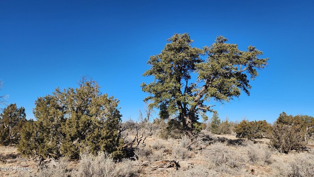 Photo of Mobile Home Lot