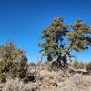 Photo of Mobile Home Lot