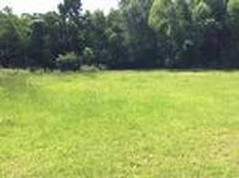 Photo of Mobile Home Lot