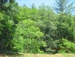 Photo of Mobile Home Lot