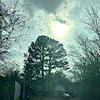 Mobile Home for Sale: 1994 Mobile Home