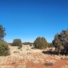 Photo of Mobile Home Lot