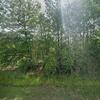 Mobile Home for Sale: 2009 Mobile Home