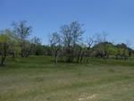 Photo of Mobile Home Lot