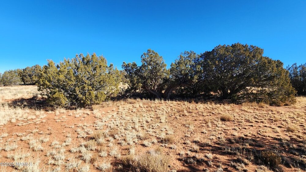 Photo of Mobile Home Lot