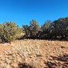 Photo of Mobile Home Lot