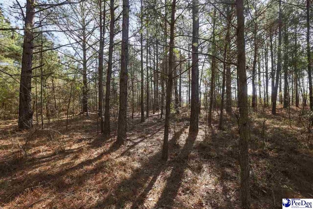 Photo of Mobile Home Lot