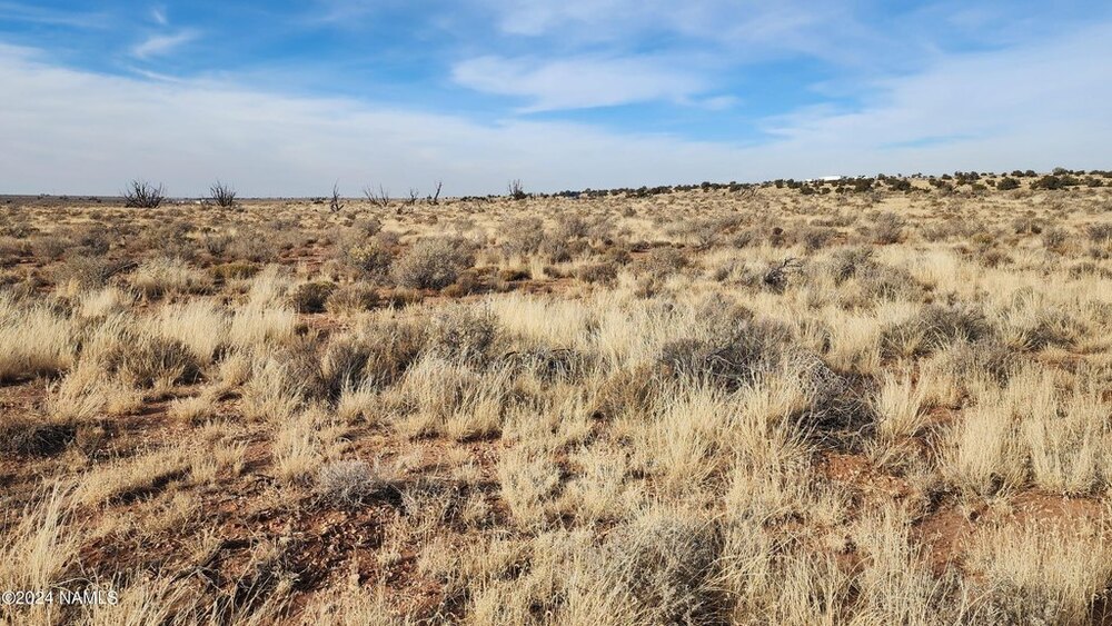 Photo of Mobile Home Lot