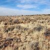 Photo of Mobile Home Lot