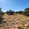 Mobile Home for Sale: Ranch, Manufactured w/ Acreage,Double Wide - Quemado, NM, Quemado, NM