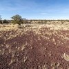 Photo of Mobile Home Lot