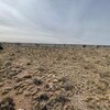 Mobile Home Lot for Sale: Residential/Mobile - Williams, AZ, Williams, AZ