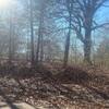 Mobile Home for Sale: 3 Bed 2 Bath 1998 Mobile Home