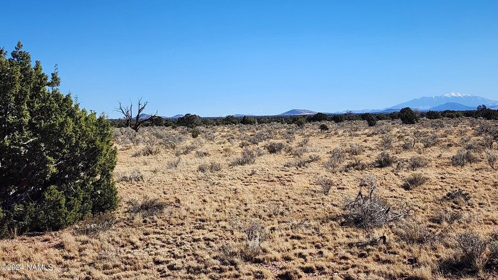 Photo of Mobile Home Lot