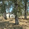 Mobile Home for Sale: 3 Bed 2 Bath 2001 Mobile Home