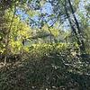 Mobile Home for Sale: 1978 Mobile Home