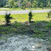 Mobile Home for Sale: 2024 Mobile Home