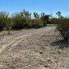 Photo of Mobile Home Lot