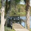 Dock
