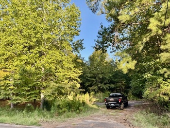Thumbnail of mobile home lot