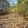 Photo of Mobile Home Lot