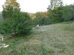 Photo of Mobile Home Lot