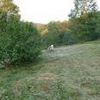 Photo of Mobile Home Lot