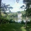 Mobile Home Lot for Sale: 0.37 acre Lot