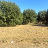 Mobile Home for Sale: 3 Bed 2 Bath 1999 Mobile Home