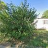 Mobile Home for Rent: 3 Bed 2 Bath 1973 Mobile Home