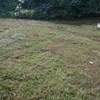 Mobile Home Lot for Sale: KY, EVARTS - Land for sale., Evarts, KY