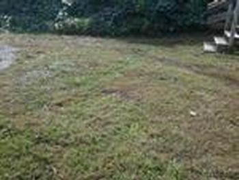 Photo of Mobile Home Lot