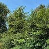 Photo of Mobile Home Lot