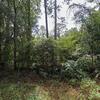 Mobile Home for Sale: 2001 Mobile Home