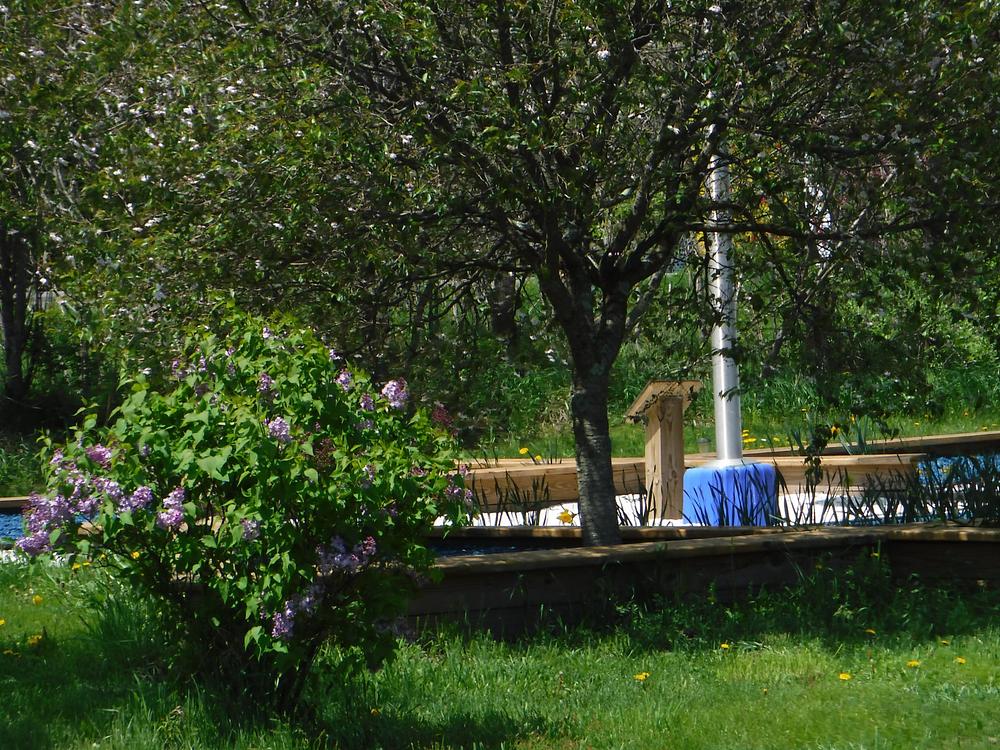 Photo 9