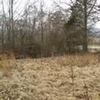 Mobile Home Lot for Sale: TN, SPEEDWELL - Land for sale., Speedwell, TN