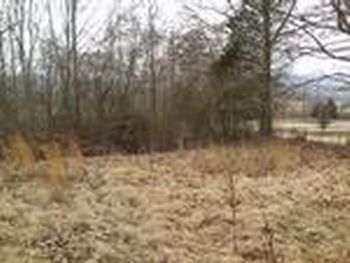 Photo of Mobile Home Lot