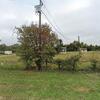 Mobile Home for Sale: 3 Bed 2 Bath 2001 Mobile Home
