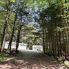 Mobile Home for Sale: Mobile Home, Singlewide - Otis, MA, Otis, MA