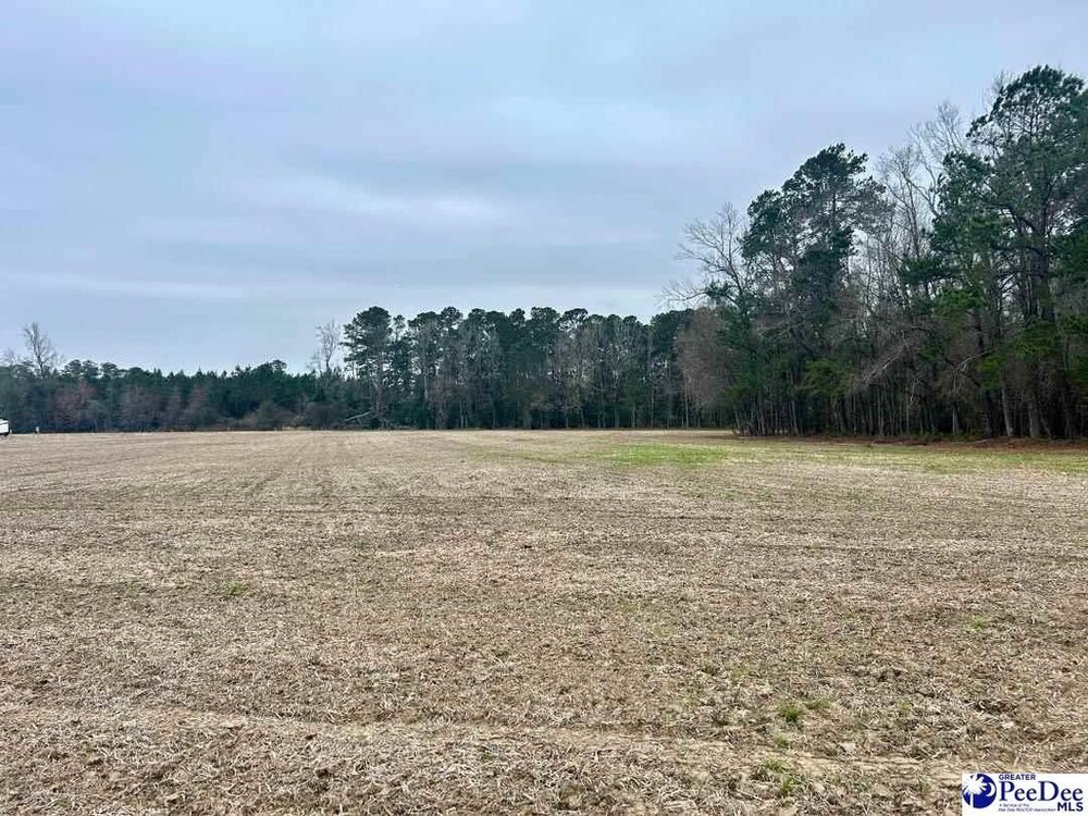 Photo of Mobile Home Lot