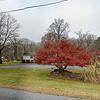 Mobile Home for Sale: 1984 Mobile Home
