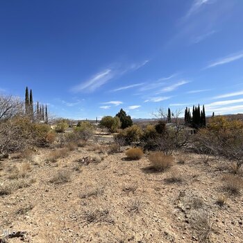 Thumbnail of mobile home lot