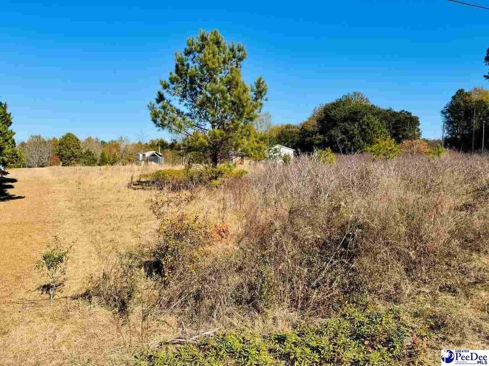 Photo of Mobile Home Lot