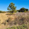 Photo of Mobile Home Lot