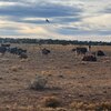 Photo of Mobile Home Lot