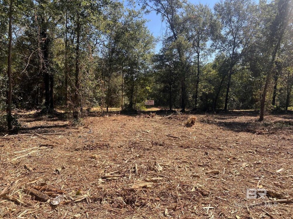 Photo of Mobile Home Lot