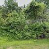 Mobile Home for Sale: 3 Bed 2 Bath 1990 Mobile Home
