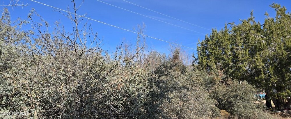 Photo of Mobile Home Lot