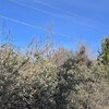 Photo of Mobile Home Lot